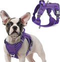 rabbitgoo Tactical Dog Harness for Small Dogs, No Pull Military Service Vest with Handle & Molle, Easy Control for Training Walking, Adjustable Reflective Straps, Purple, S