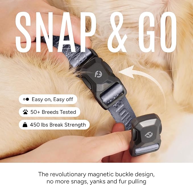 2025 New Edition, Fei & Eve MagEase Dog Collar - Patented Magnetic Buckles | Fur-Safe | Premium 210D Nylon | 450LB Escape-Proof | Adjustable Fit | Small (Twilight Gray)