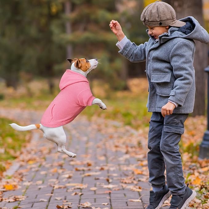 Dog Sweaters for Small Dogs,Dog Hoodies,Warm Fleece Sweatshirt with Hood & Pocket,Leash Hole,Cozy Cold Weather Puppy Clothes Pet Sweater for Small Dogs(Pink,S)