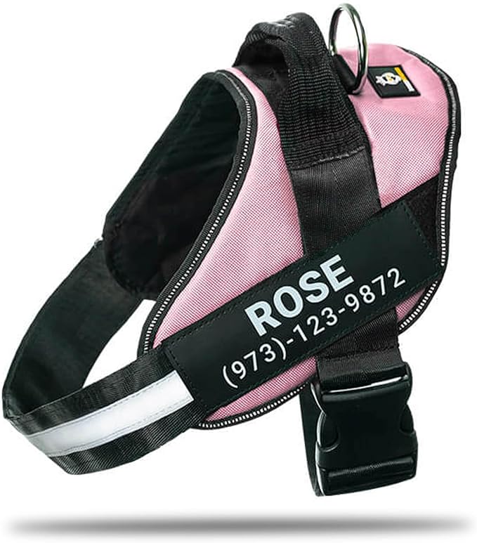 Personalized No-Pull Dog Harness with Name Patch, Adjustable, Reflective, Padded, Heavy Duty Pet Vest to Prevent Tugging, Pulling, or Choking, Training and Walking, Pink, S