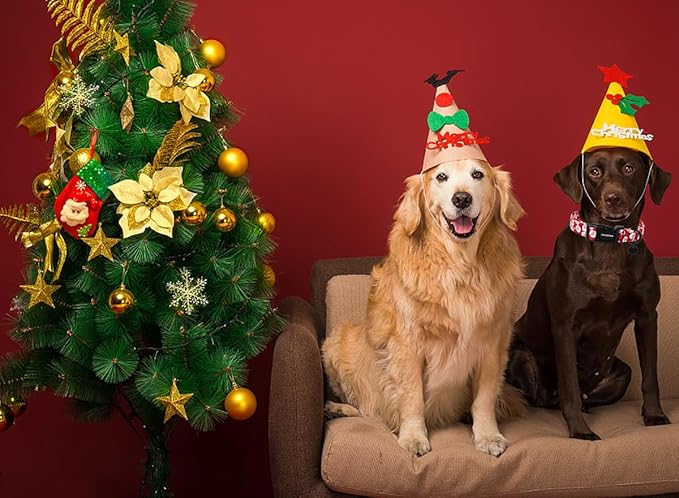 DOGWONG Christmas Cotton Dog Collar, Red Santa Claus Dog Collar Durable Holiday Pet Dog Collars Cute Puppy Necklace for Medium Large Dogs