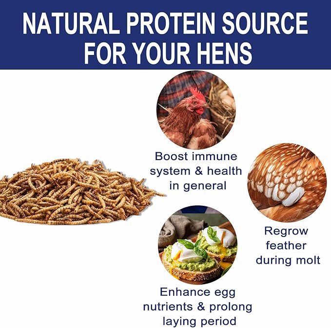 RANZ 2LBS Non-GMO Dried Mealworms for Chickens, High Protein Meal Worms, Premium Chicken Feed, Whole Large Mealworms for Blue Birds, Ducks, Fish