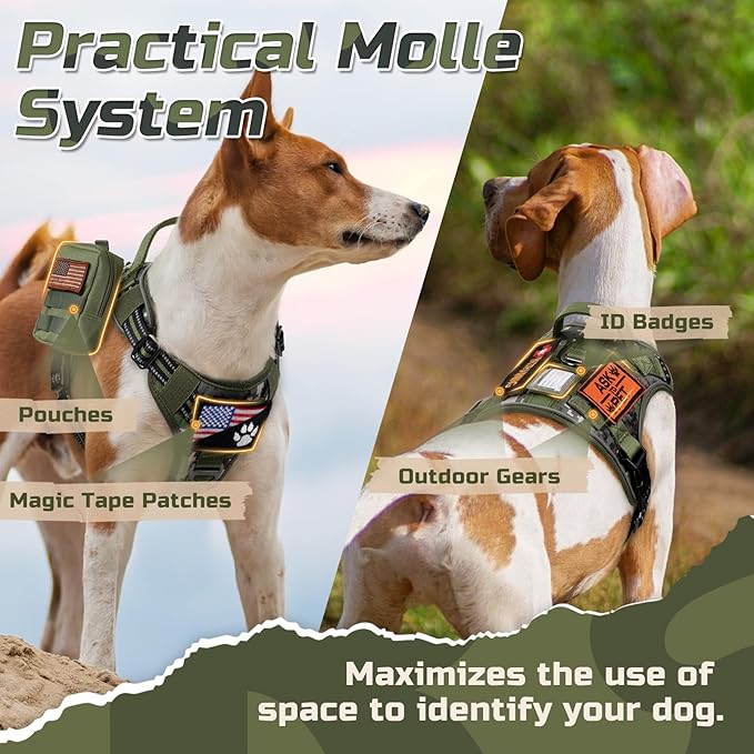rabbitgoo Tactical Dog Harness for Small Dogs, No Pull Military Service Vest with Handle & Molle, Easy Control for Training Walking, Adjustable Reflective Straps, Green camo, S