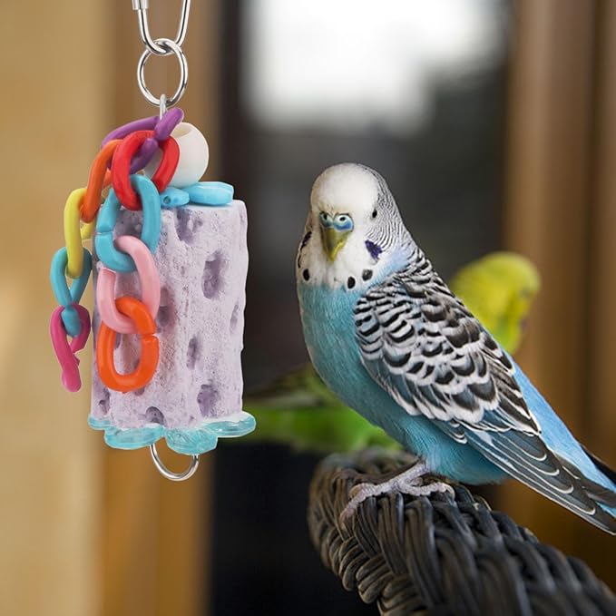 Wontee Bird Chewing Toys Bird Beak Grinding Stone Calcium Parakeet Treats for Budgies Cockatiels Conures Quaker Senegal Parrot (Random Color)