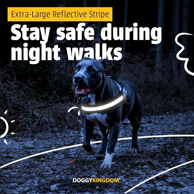 Personalized No-Pull Dog Harness with Name Patch, Adjustable, Reflective, Padded, Heavy Duty Pet Vest to Prevent Tugging, Pulling, or Choking, Training and Walking, US Flag, XS