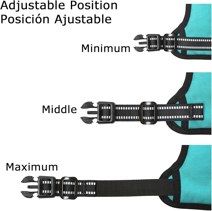 HEELE Dog Harness, No Pull Adjustable Padded Reflective Harness for Small Medium Large Dogs with Handle for Walking Training, Turquoisek, L