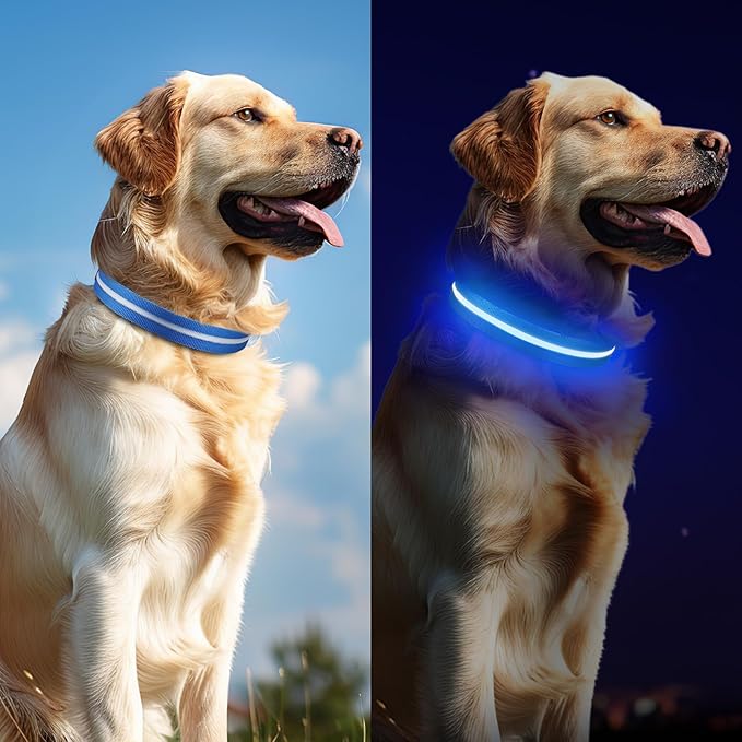Light Up Dog Collar, Adjustable USB Rechargeable Glow in Dark Dog Collar ，Waterproof Dog Collars for Small Dogs (Blue, Small)