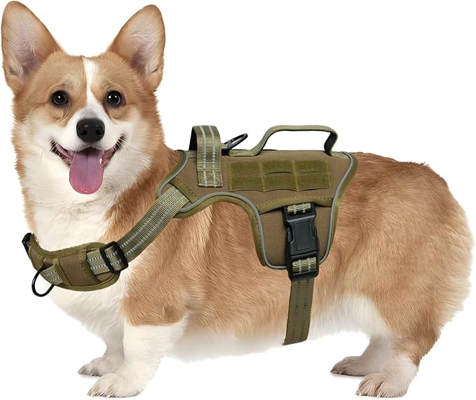 Small Dog Harness, Heavy Duty Tactical No Pull Dog Harness, No Choke, Easy On and Off Pet Vest with Molle System, Adjustable Reflective Dog Vest with Breathable Padded for Walking Hiking Training