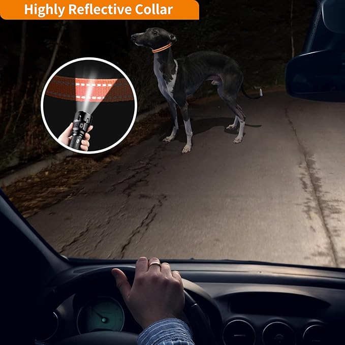 PaiPaitek Replacement Shock Collar Strap, 3/4 inch Dog Collar Fit All Brands of Shock Training Collars and Bark Collars - Durable and Adjustable - Reflective Dog Collar - 2 Packs