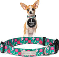 Lucky Love Dog - Adjustable Dog Collar with Easy Click Buckle for Small to Large Dogs, Durable, & Comfortable for Male & Female Dogs, Pet Collar for Puppies & Adult Ones - Penny, XS