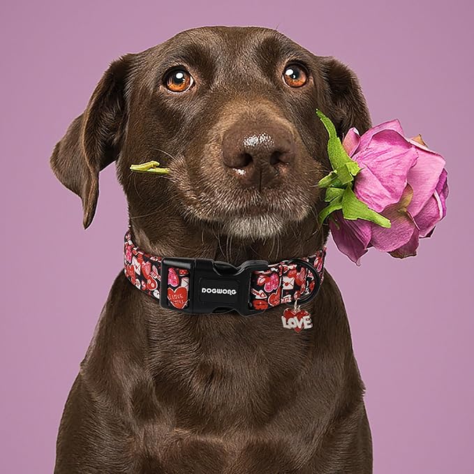 DOGWONG Valentine Dog Collar- Cute Red Heart Dog Collars Adjustable Durable Designer Valentine’s Day Dog Collar for Small Medium Large Dogs M