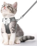 Cat Vest Harness and Leash Set for Walking Escape Proof, Adjustable Kitten Harness Breathable Mesh with Reflective Strips Harness for Kitty Puppy Bunny (Grey,XS)