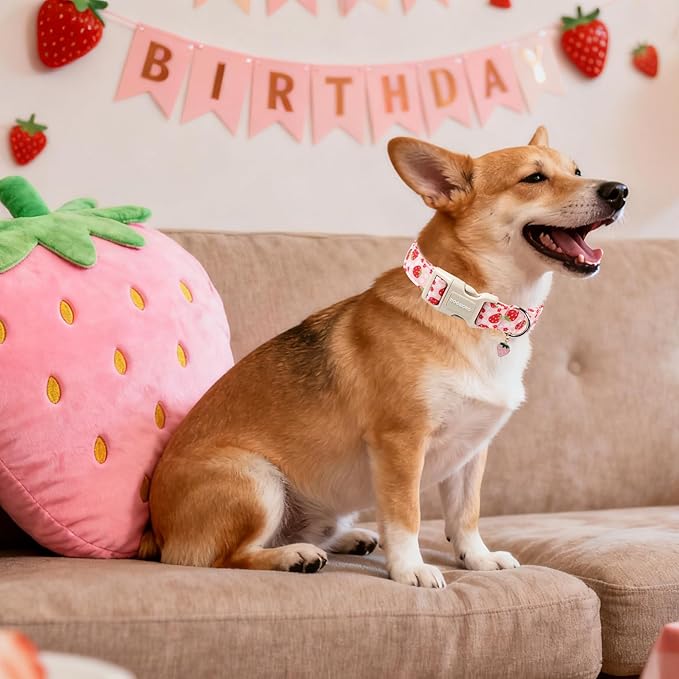 DOGWONG Cotton Handmade Daisy Flower Dog Collar Cute Pink Strawberries Dog Collars with Pendant for Girl Boy Dogs,M