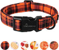 ARING PET Halloween Dog Collar-Cute Fall Dog Collar for Small Dogs, Cotton Halloween Orange Grid Dog Collars for Small Medium Large Female and Male Dogs