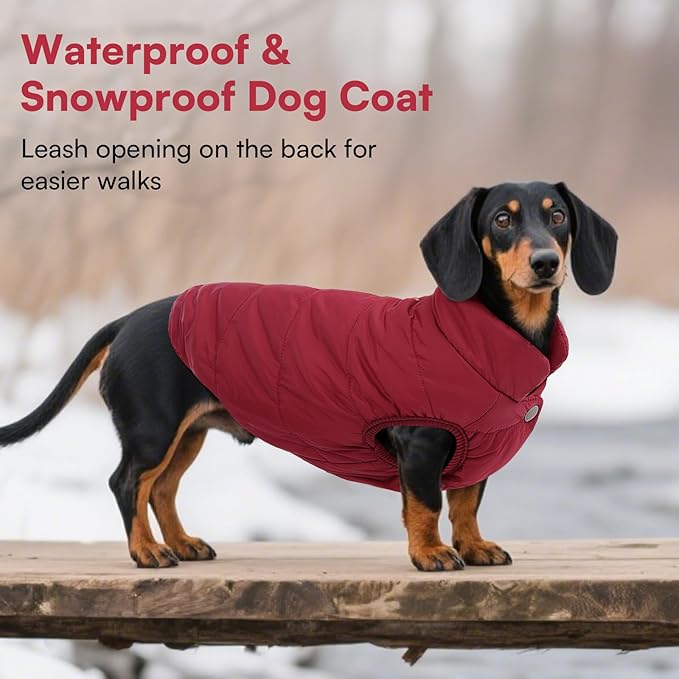 ASENKU Dog Winter Coat - Waterproof Windproof Dog Jacket, Warm Snowproof Doggie Puffer Vest for Cold Weather, Lightweight Snow Coats for Small Medium Large Dogs (XL, Red)