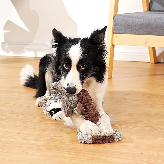 Tug of War Dog Toy, Durable Large Breed Dog Toy, Though Stuffed Dog Squeaky Toy with Crinkle Paper for Small, Middle and Big Dogs(Raccoon)