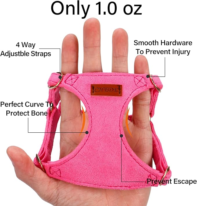 No Pull Dog Harness- Lightweight, Soft, Adjustable Small Harness Collar and Leash Set, Suitable for Cats Puppy Small and Medium-Sized Dog Outdoor Training and Running (hotpink, XXS)