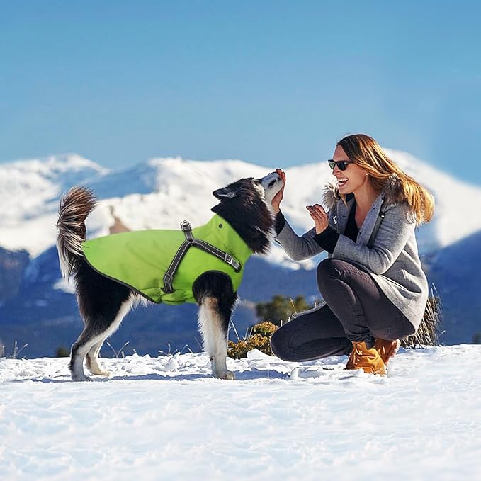 Mosucoirl Dog Raincoat Waterproof Dog Hoodie Reflective Dog Raincoat Hooded Adjustable Rain Jacket for Small Medium Large Dogs Puppies (Green, S)