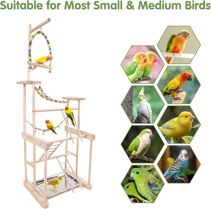 Bird Playground 4 Layer, Parrot Playground Bird Play Stand for Parakeet Conure Cockatiel Lovebird Budgie, Parrot Playstand with Feeder Cups, Ladder, Chain Toy, Swing and Detachable Tray