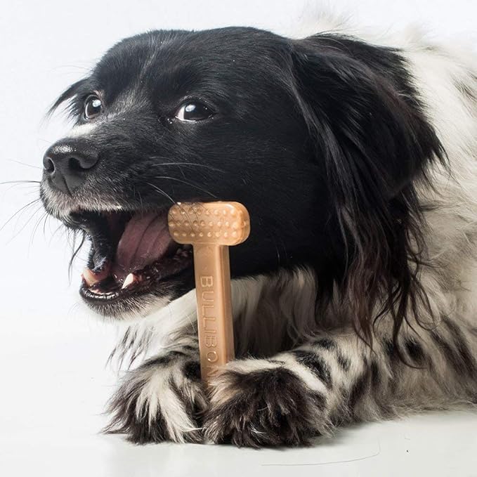 Bullibone Nylon Dog Chew Toy Nylon Bone - Improves Dental Hygiene, Easy to Grip Bottom, and Permeated with Flavor (Peanut Butter, Small - 2 Pack)