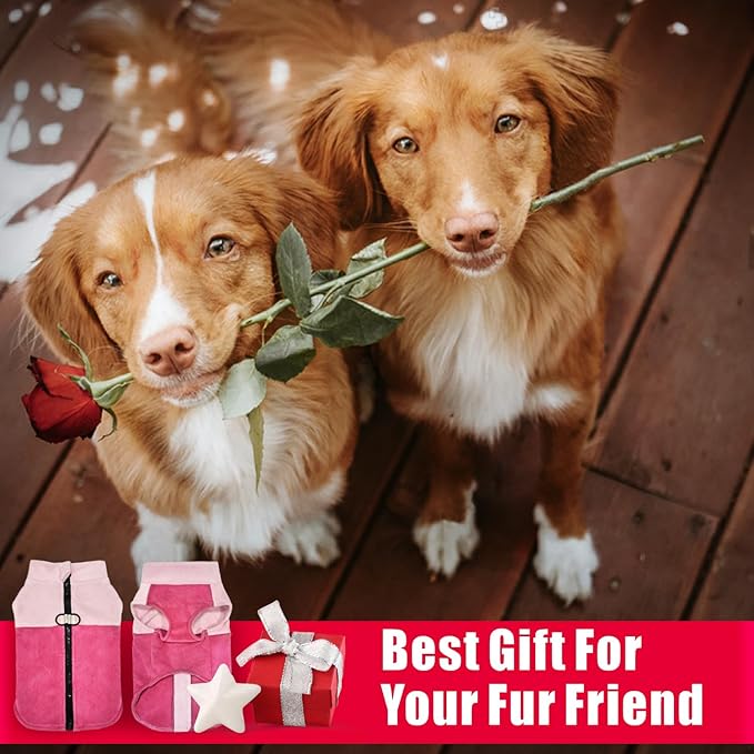 Idepet Dog Fleece Vest Sweater Zip Up Warm Pullover Dogs Jacket with D-Ring Leash Winter Cold Weater Coat Pet Sweatershirt Clothes Hoodie for Small Medium Dogs Boy Girl (Pink/Rose Red, XXS)