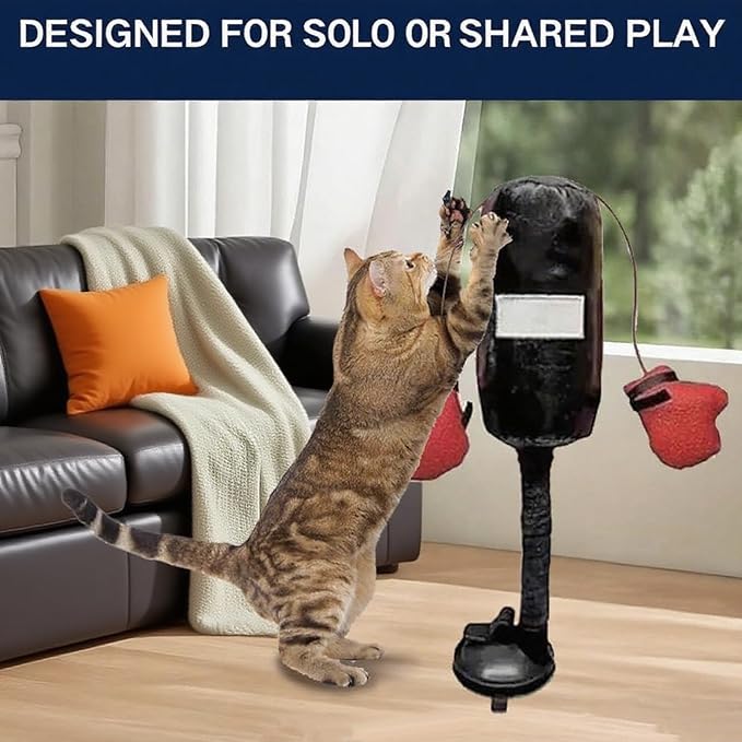 cat Boxing Gloves Toy, Boxing cat Toys, Interactive Kitten Toys Punching Bags, Punching Bag Games Gym (2 Pieces)