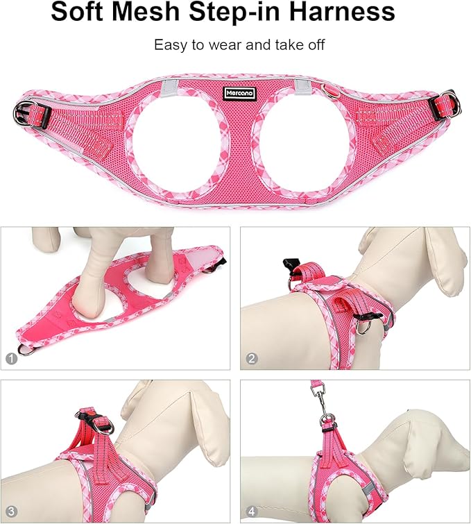 Mercano Soft Mesh Dog Harness and Leash Set, No-Chock Step-in Reflective Breathable Lightweight Easy Walk Vest Harnesses with Safety Buckle for Small Dogs, Cats (M, Fuchsia)