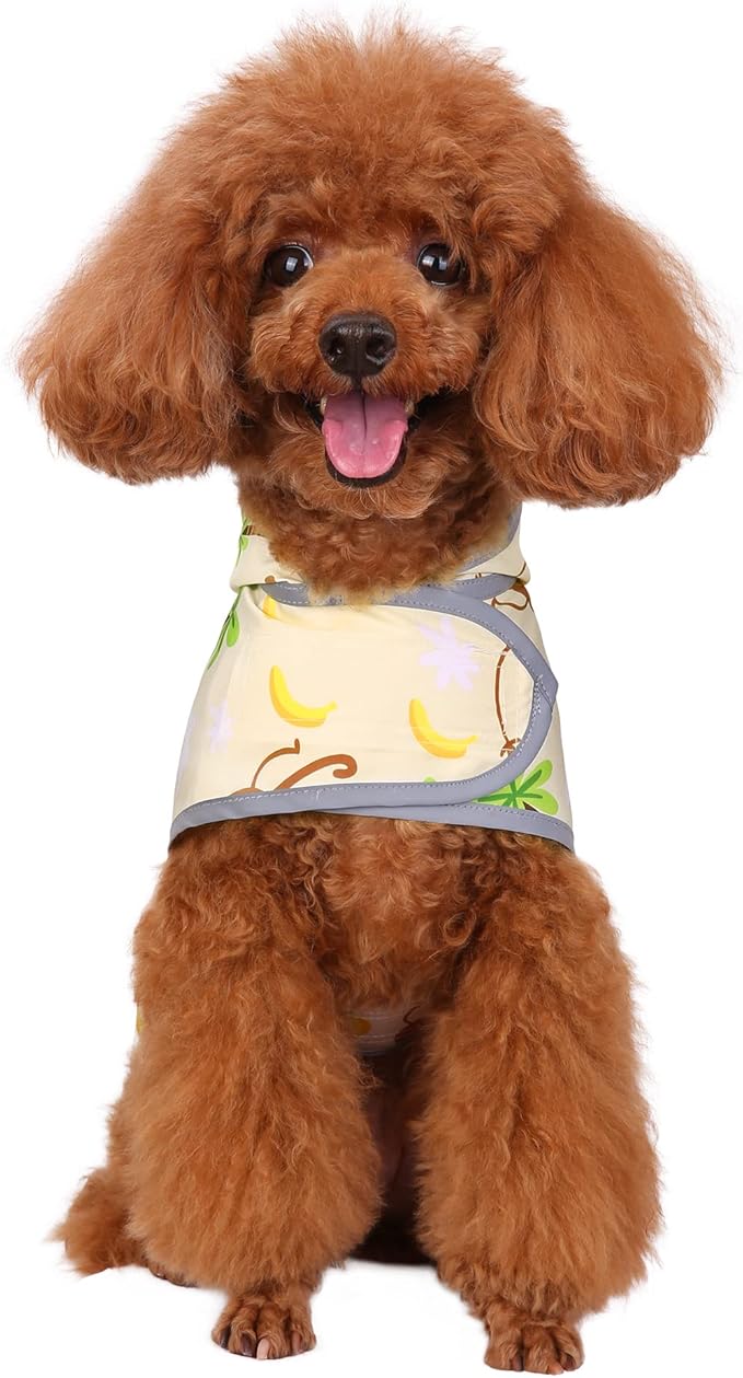 Dog Raincoat for Medium Dogs Waterproof Hooded Rain Jacket with Reflective Strips Leash Hole & Poncho Adjustable Fit (Monkey,M)