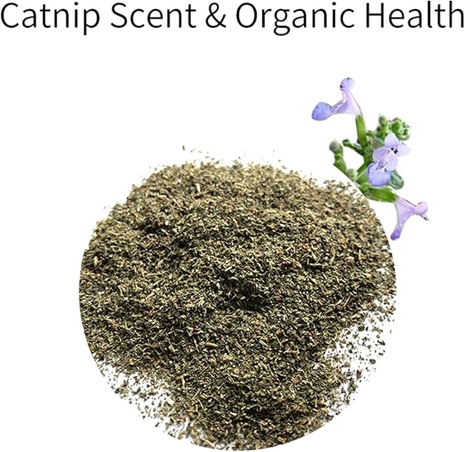 Cat Toys for Indoor Cats Satisfy Cat's Natural Hunting Instinction Catnip Soft Interactive Chirp Toys for All Breeds Indoor Cats， 3pcs （3 Pack）