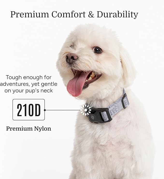 2025 New Edition, Fei & Eve MagEase Dog Collar - Patented Magnetic Buckles | Fur-Safe | Premium 210D Nylon | 450LB Escape-Proof | Adjustable Fit | Small (Twilight Gray)