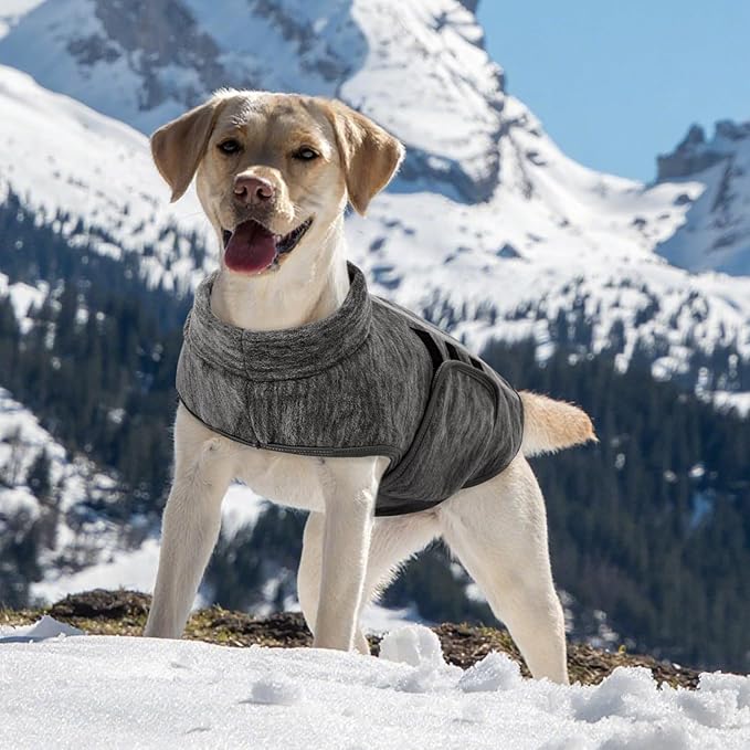 Queenmore Large Dog Sweaters, Soft Fleece Vest Pullover Dog Jacket with Leash Hole, Warm Winter Dogs Clothes Cold Weather Doggy Dachshund Sweater for Large Dogs Cats Boy or Girl (Cationic Gray, L)