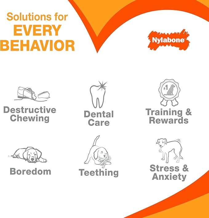 Nylabone Power Chew Classic Bone Chew Toy for Dogs, Durable Dog Toys for Aggressive Chewers, Chicken Flavor, X-Small/Petite - Up to 15 lbs. (1 Count)