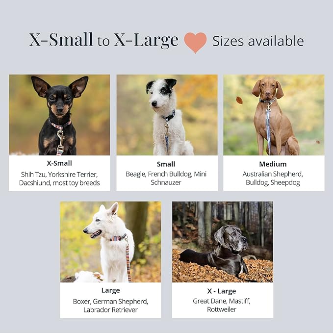 Lucky Love Dog - Adjustable Dog Collar with Easy Click Buckle for Small to Large Ones, Durable, & Comfortable for Male & Female Dogs, Pet Collar for Puppies & Adult Dogs - Clara, Large