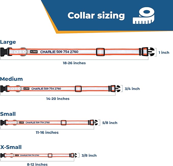 GoTags Reflective Personalized Dog Collar, Custom Embroidered with Pet Name and Phone Number in Black for Boy and Girl Dogs, 3 Adjustable Sizes, Small, Medium, and Large