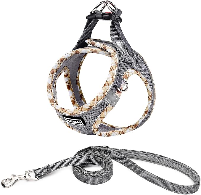 Mercano Soft Mesh Dog Harness and Leash Set, No-Chock Step-in Reflective Breathable Lightweight Easy Walk Vest Harnesses with Safety Buckle for Small Dogs, Cats (Grey, M)