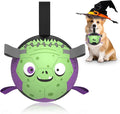 QDAN Dog Toys Ball: Dog Soccer Balls with Straps- Outdoor Herding Balls Toys for Small Medium Dogs- Christmas Puppy Pet Birthday Gifts- 6 Inch Purple Green