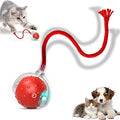 Tiny Fetch Dog Toy, Tinyfetch Interactive Dog Cat Toys Balls with Birdsong, 360° Smart Automatic Rolling Dog Ball Toy with Rope for Pets Indoor & Outdoor Play (Red)