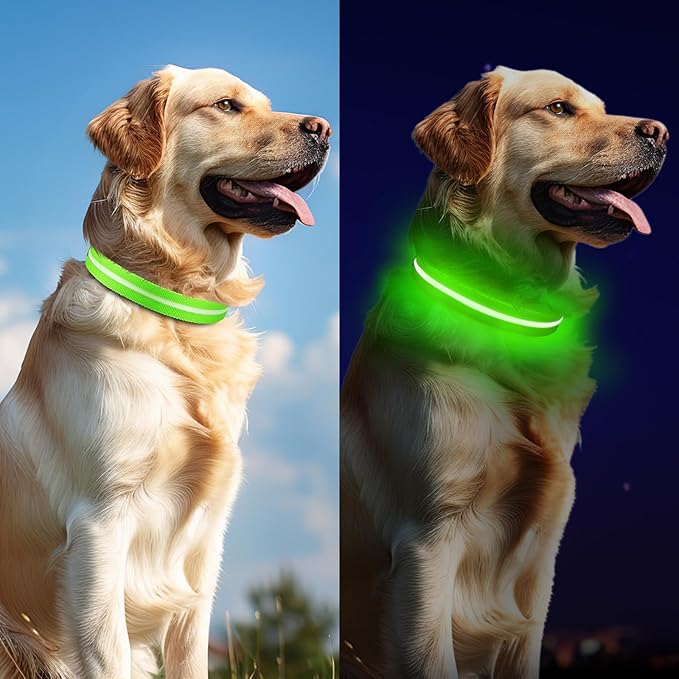 JewyowLight Up Dog Collar, Adjustable USB Rechargeable Glow in Dark Dog Collar ，Waterproof Dog Collars for Large Dogs (Green, Large)