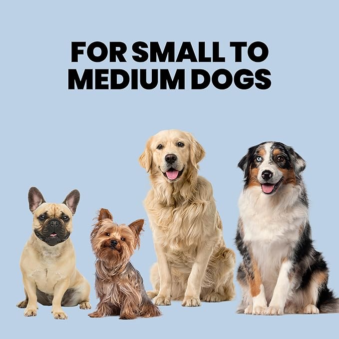 MalsiPree Walking Set with Retractable Dog Leash, Poop Bag Holder, Leak Proof 12 Oz Dog Water Bottle, Flashlight & 20 Poop Bags - 9.8ft Leash Retractable for Small to Medium Pet (Sand & Teal, 12 Oz)