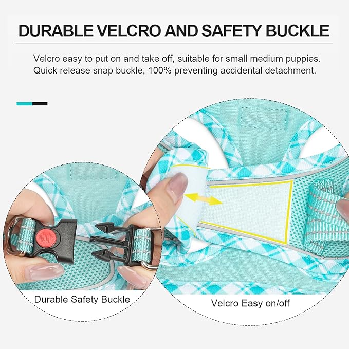 Mercano Soft Mesh Dog Harness and Leash Set, No-Chock Step-in Reflective Breathable Lightweight Easy Walk Vest Harnesses with Safety Buckle for Small Dogs, Cats (Light Blue, M)