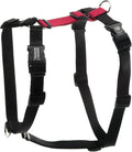 Blue-9 Buckle-Neck Balance Harness, Fully Customizable Fit No-Pull Harness, Ideal for Dog Training and Obedience, Made in The USA, Red, Large