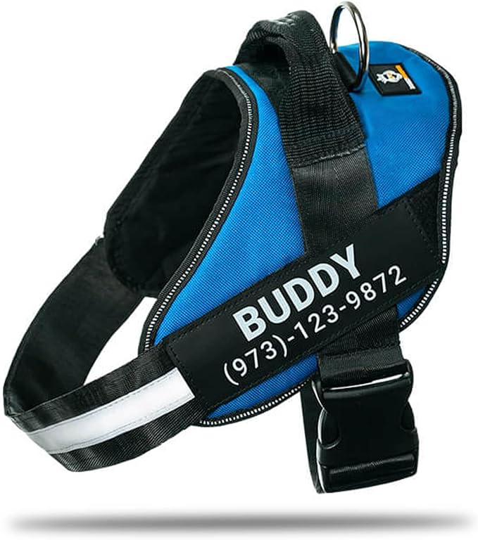 Personalized No-Pull Dog Harness with Name Patch, Adjustable, Reflective, Padded, Heavy Duty Pet Vest to Prevent Tugging, Pulling, or Choking, Training and Walking, Blue, L
