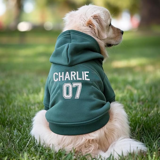 Personalized Name Dog Hoodie, Embroidered Puppy Sweater with Name and Number, Customized Pet Clothes Warm Winter Outfit for Dogs, Bright Puppy Sweatshirt, Pet Birthday Outfit, Dog Lovers Gifts