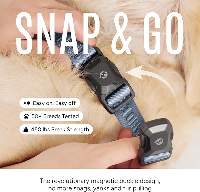 2025 New Edition, Fei & Eve MagEase Dog Collar - Patented Magnetic Buckles | Fur-Safe | Premium 210D Nylon | 450LB Escape-Proof | Adjustable Fit | Large (Dusk Blue)