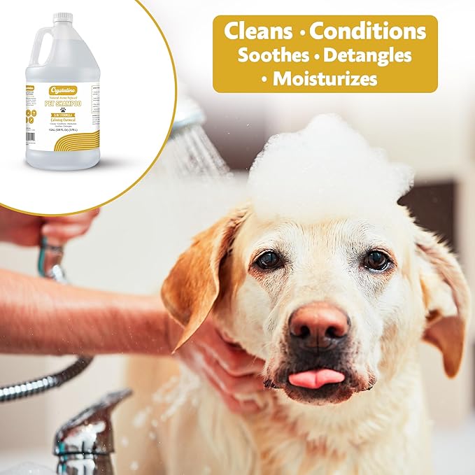 2-in-1 Oatmeal Shampoo for Dogs - 1 Gallon - Professional Conditioning Dog Grooming Shampoo, 1 Gallon Sensitive Hypoallergenic Dogs Shampoos, Oatmeal Gentle Puppy Shampoos Bulk Concentrate