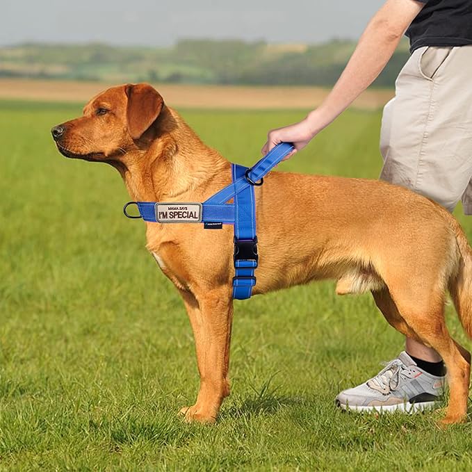 Annchwool No Pull Dog Harness with Soft Padded Handle-Reflective Strip Escape Proof and Quick Fit to Adjust Dog Harness-Easy for Training Walking for Small & Medium and Large Dogs(Blue,XS,1 in Width)