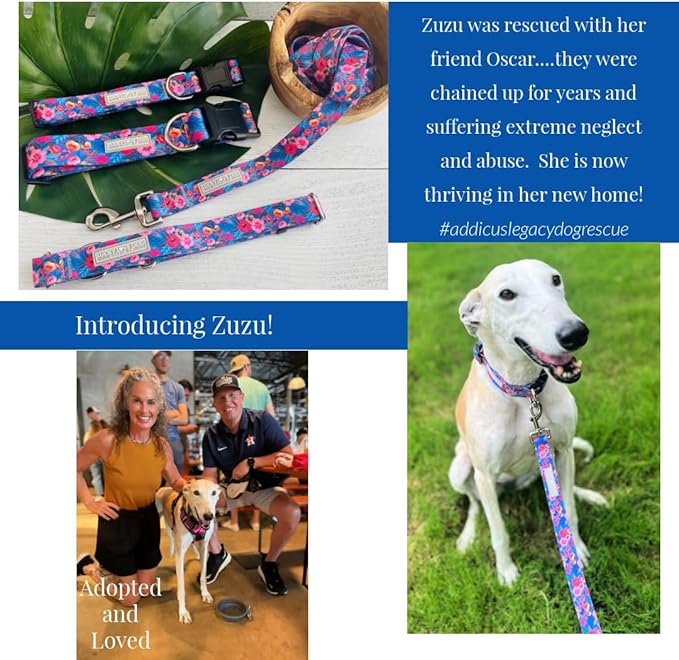 Lucky Love Dog - Easy Click Buckle Dog Collar with Leash Set Combo, Durable & Comfortable for Male & Female Dogs, Pet Collar for Small to Large Dogs, Secure Fit - Zuzu Combo, XL