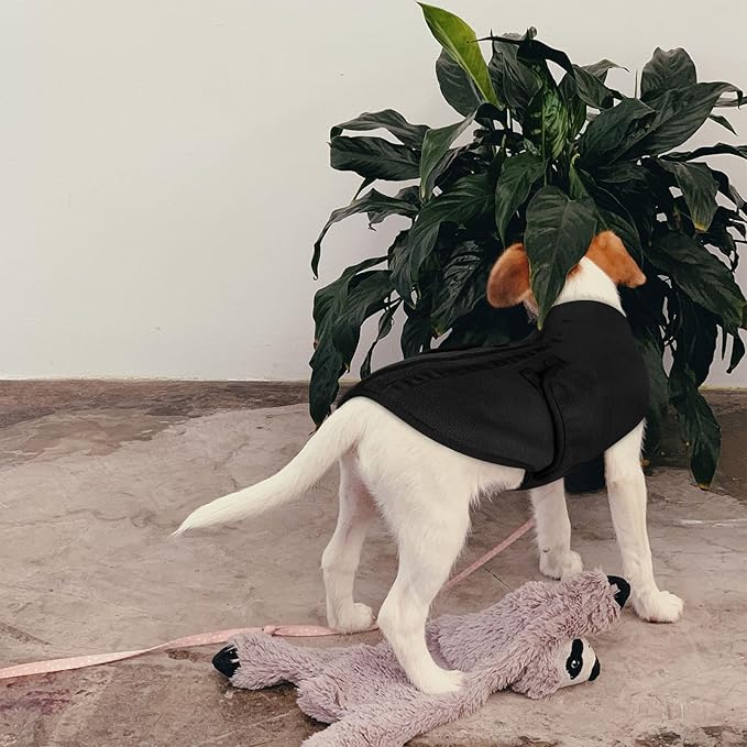 Queenmore Medium Dog Sweaters, Soft Fleece Vest Pullover Dog Jacket with Leash Hole, Warm Winter Dog Clothes Cold Weather Doggy Dachshund Sweater for Medium Dogs Cats Boy or Girl (Black,M)