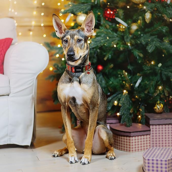 DOGWONG Christmas Dog Collar- Cute Red Christmas Strip Dog Collars Adjustable Designer Dog Collar for Small Medium Large Dogs S