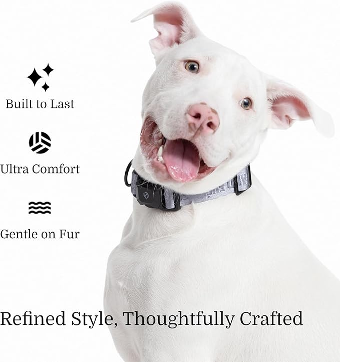 2025 New Edition, Fei & Eve MagEase Dog Collar - Patented Magnetic Buckles | Fur-Safe | Premium 210D Nylon | 450LB Escape-Proof | Adjustable Fit | Small (Twilight Gray)